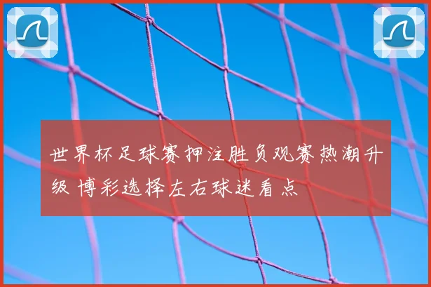 世界杯足球赛押注胜负观赛热潮升级 博彩选择左右球迷看点