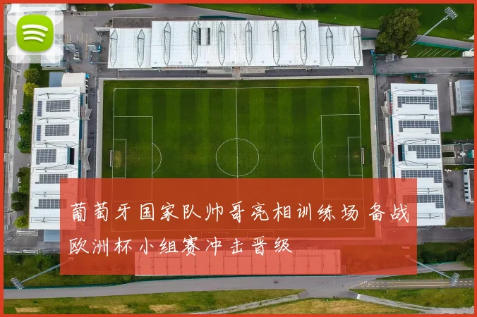 葡萄牙国家队帅哥亮相训练场 备战欧洲杯小组赛冲击晋级