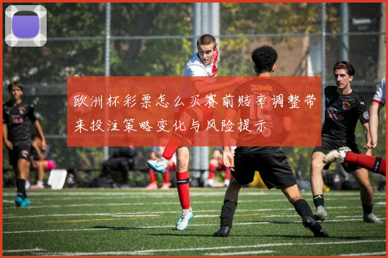 欧洲杯彩票怎么买赛前赔率调整带来投注策略变化与风险提示