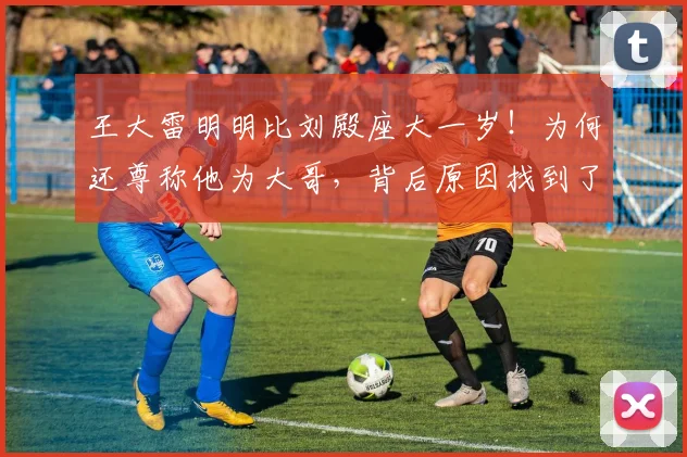 王大雷明明比刘殿座大一岁!为何还尊称他为大哥,背后原因找到了