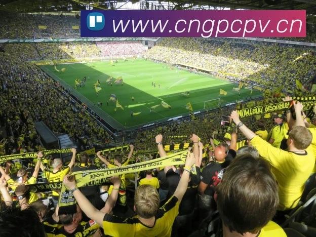 开云手机官方登录APP 高清赛事图